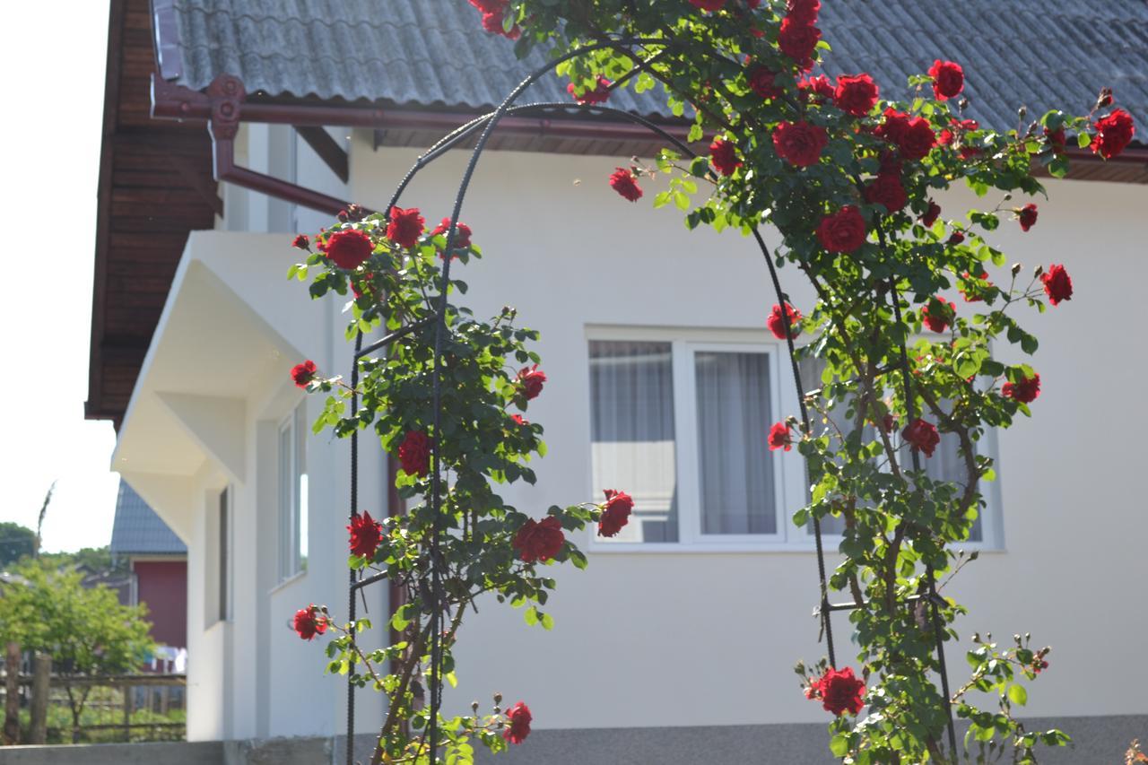Casa Maria Hostal Prundul Birgaului Exterior foto